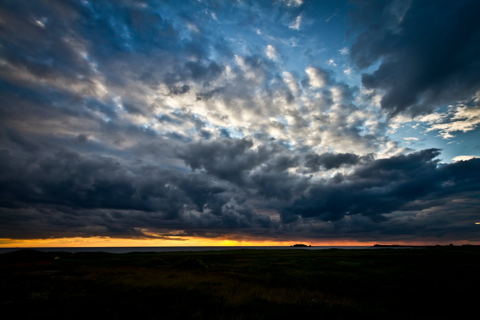 Landscape — photo 5